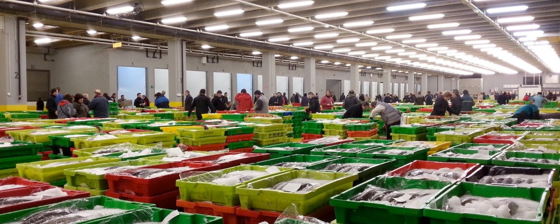 Pescados Juarez en Burgos :: Distribución de Pescado en Burgos
